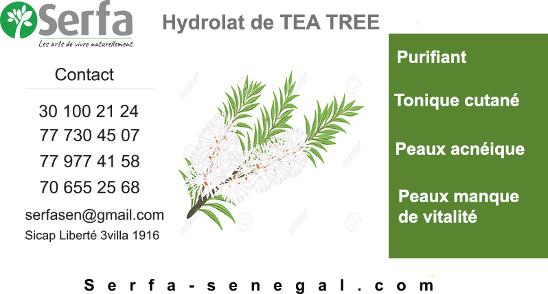 Hydrolat TEE TREA – SERFA – Produits naturels Dakar