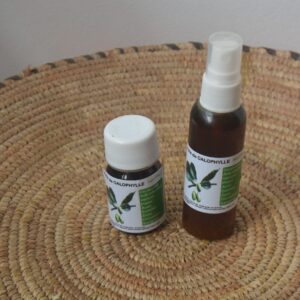 Huile de calophylum