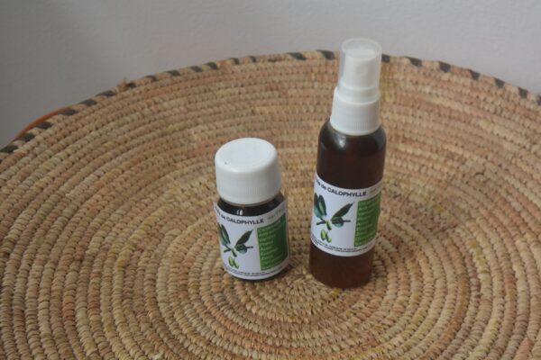 Huile de calophylum