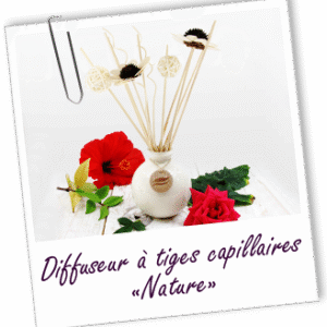 DIFFUSEUR DE SENTEURS À TIGES "NATURE"