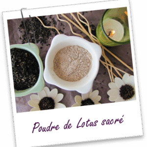 Poudre de Lotus sacré