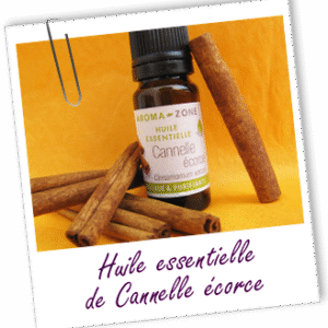 Cannelle Ceylan écorce