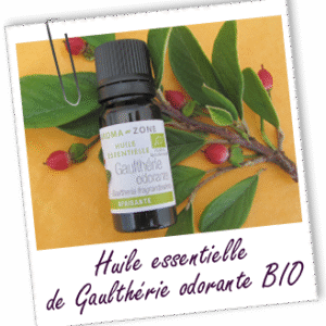 Gaulthérie odorante bio