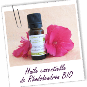 Rhododendron