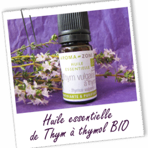 Thym vulgare à thymol