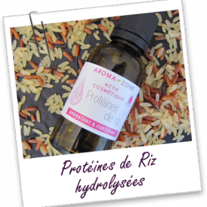 Protéines de riz