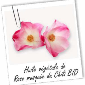 HUile de Rose Musquée de Chili
