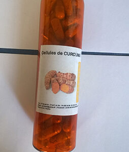 Gélules de Curcuma