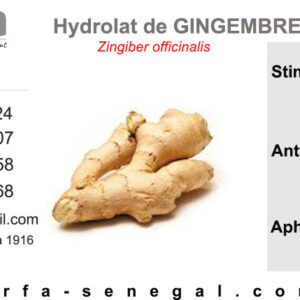 Hydrolat Gingembre