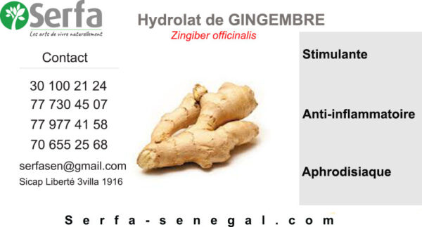 Hydrolat Gingembre