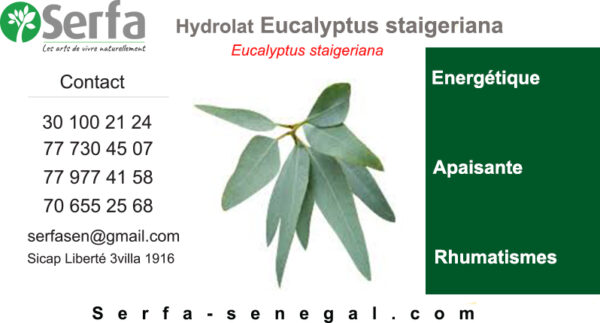 Hydrolat Eucalyptus