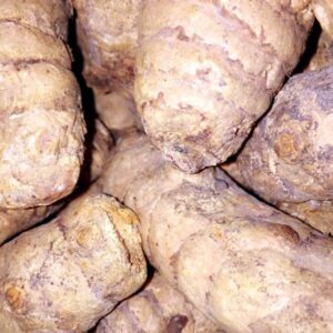 Racines de Curcuma