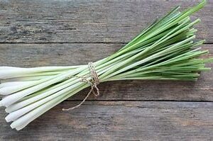 Feuilles de citronnelle 25g
