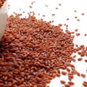 Cresson graines 25g