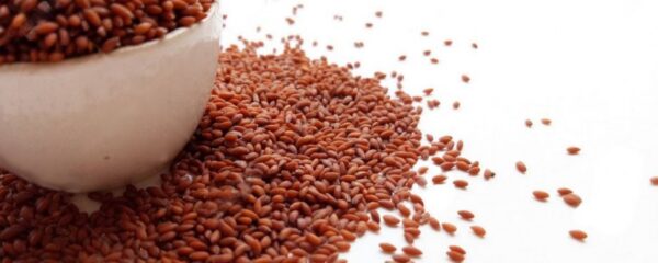 Cresson graines 25g