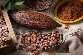 FEVE DE CACAO 100g