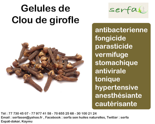Gelules de clou de girofle