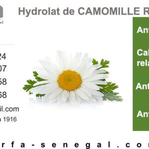 Hydrolat Camomille Romaine