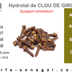 Hydrolat Clou de girofle