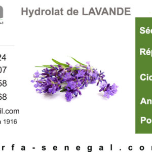 Hydrolat Lavande vraie