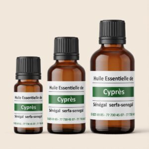 Cyprès