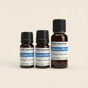 Eucalyptus mentholé