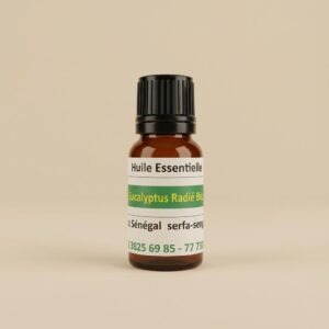 Eucalyptus radié bio