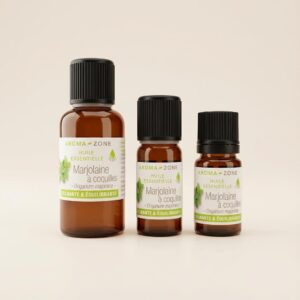 Marjolaine à coquilles