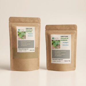 Poudre de NguiGuiss pilostigma reticulatum