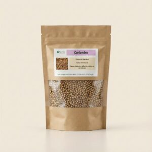 Coriandre